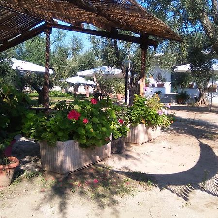 Casa Vacanza Fiorella Torre dell'Orso Bagian luar foto