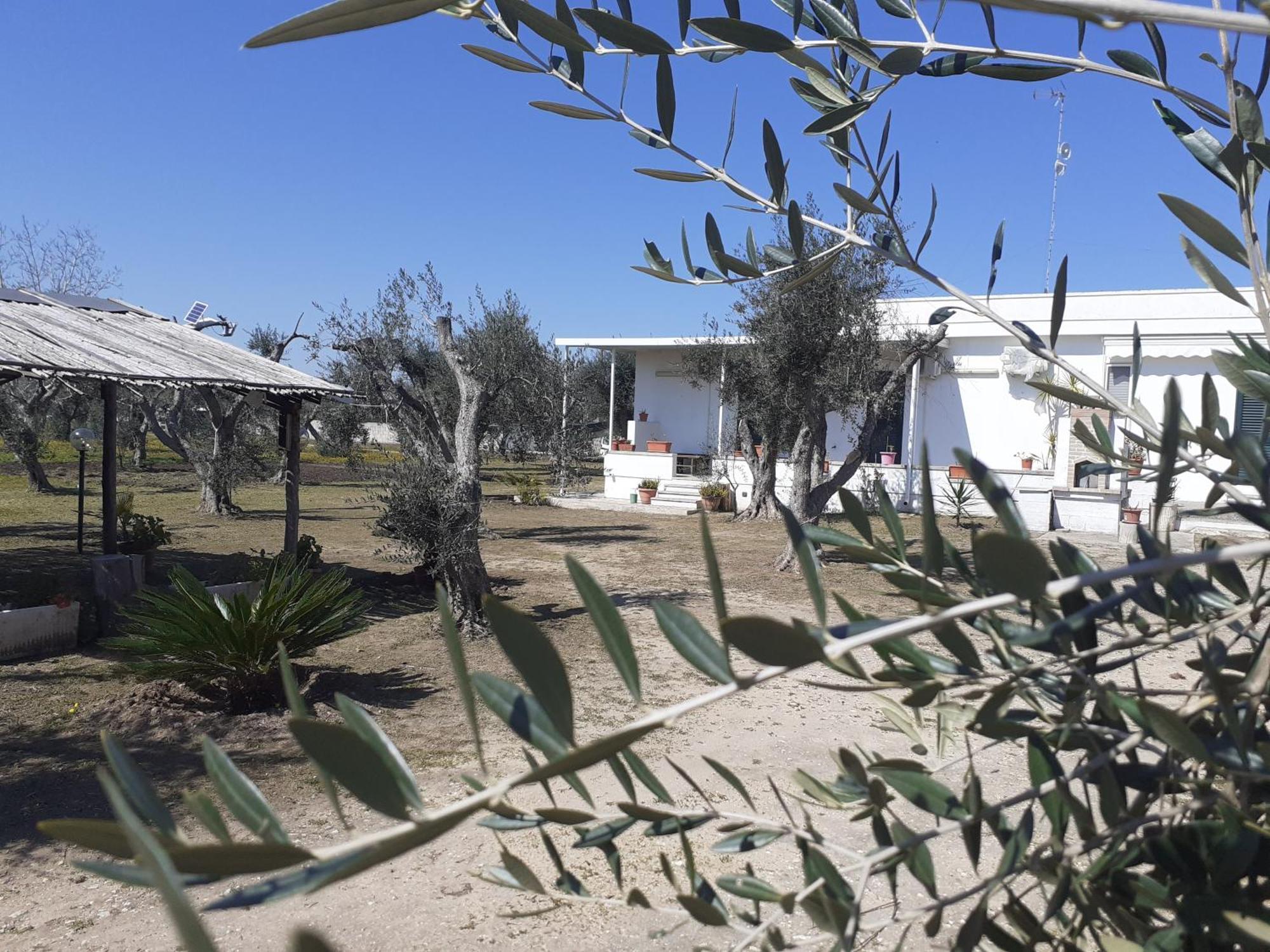 Casa Vacanza Fiorella Torre dell'Orso Ruang foto