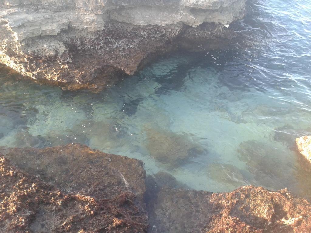 Casa Vacanza Fiorella Torre dell'Orso Bagian luar foto