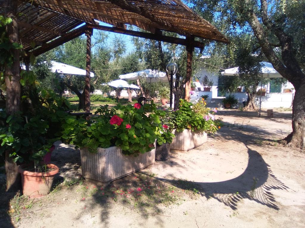 Casa Vacanza Fiorella Torre dell'Orso Bagian luar foto