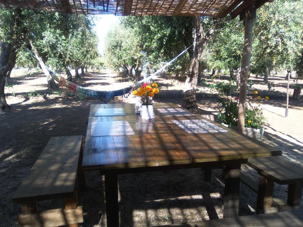Casa Vacanza Fiorella Torre dell'Orso Bagian luar foto