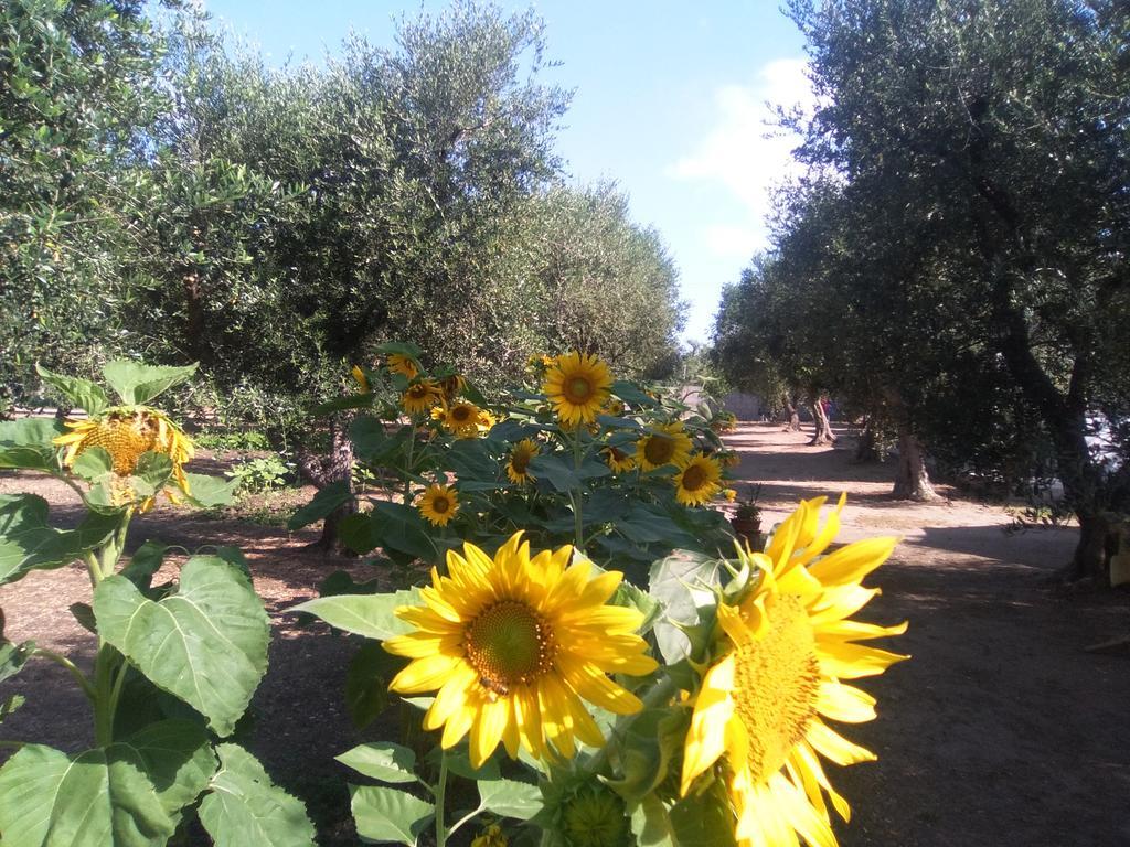 Casa Vacanza Fiorella Torre dell'Orso Bagian luar foto